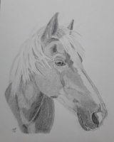 A4, Kyla