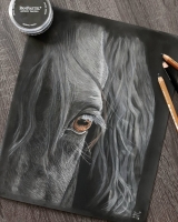 'Friesian Beauty', medium. Te koop €125,-.