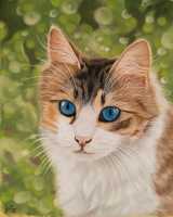 'Blue eyes', medium. Te koop €125,-