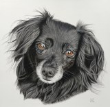 IJkie, 24x24 cm